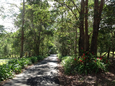 Maleny Country Cottages - Accommodation Mount Tamborine 8