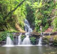 O'Reilly's Rainforest Retreat - Accommodation Mount Tamborine