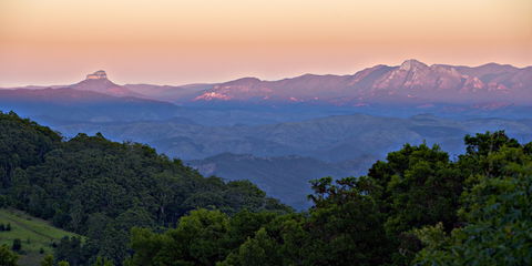 O'Reilly's Rainforest Retreat - Accommodation Mount Tamborine 1