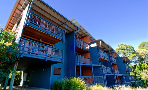 O'Reilly's Rainforest Retreat - Accommodation Mount Tamborine 7