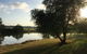 Percy's Place Caravan Park - thumb 0