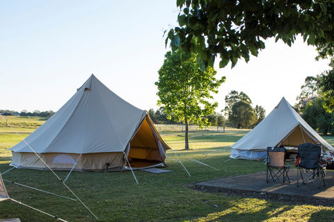 Percy's Place Caravan Park - Accommodation Mount Tamborine 1