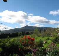 Plovers Ridge Country Retreat - Accommodation Mount Tamborine
