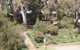 Quorn Caravan Park - thumb 2