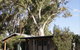 Quorn Caravan Park - thumb 3