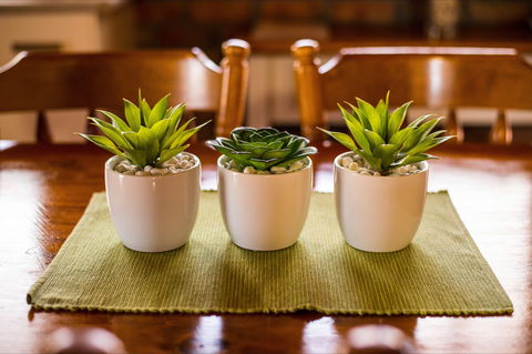 The Creek Cottage - Accommodation Mount Tamborine 8