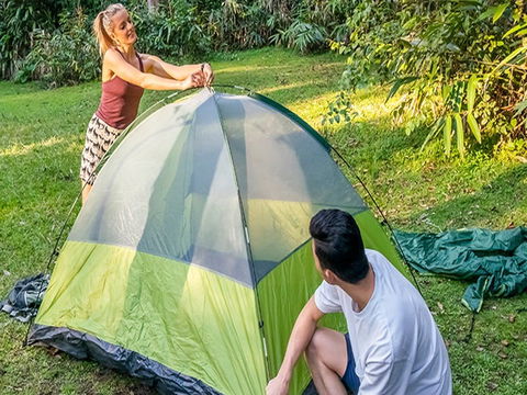 Warrabah Campground And Picnic Area - Accommodation Mount Tamborine 0