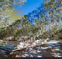 Bandalong Cottages - Accommodation Mount Tamborine