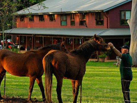 Bilpin Country Lodge - Accommodation Mount Tamborine 3