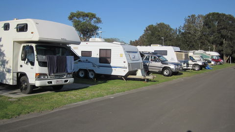Coral Tree Lodge Tourist Park - Accommodation Mount Tamborine 3
