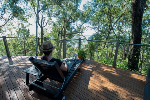 Curious Cottages - Accommodation Mount Tamborine 4