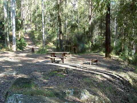 Gap Creek Campground - Accommodation Mount Tamborine 1