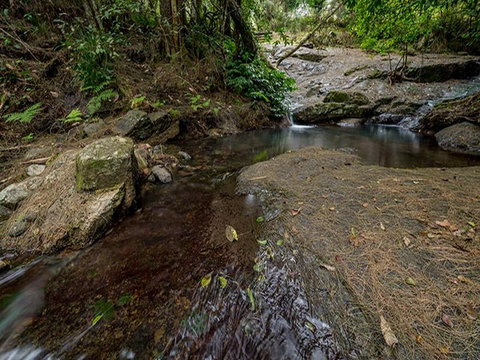 Jacky Barkers Campground - Accommodation Mount Tamborine 1
