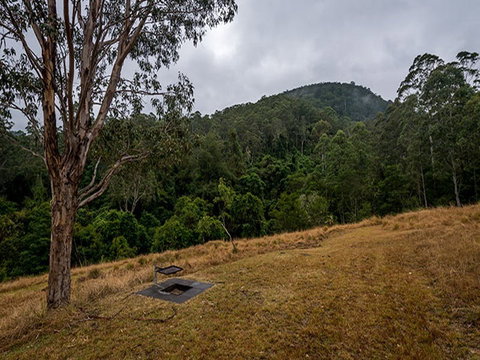Jacky Barkers Campground - Accommodation Mount Tamborine 2