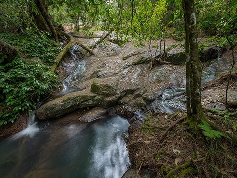 Jacky Barkers Campground - Accommodation Mount Tamborine 3
