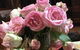 Jalbrook  Estate-  Cottages,Alpacas,Gallery & Function Centre - thumb 1