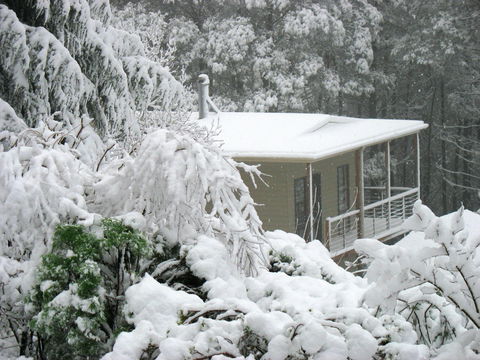 Lyrebird Cottages - Accommodation Mount Tamborine 2