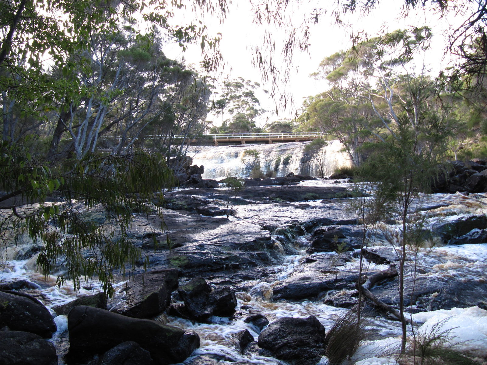 Trent WA Accommodation Mount Tamborine