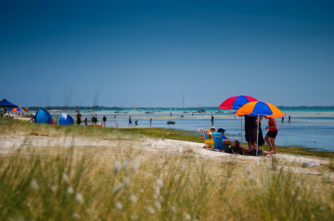 Rosebud Foreshore Camping - Accommodation Mount Tamborine 0