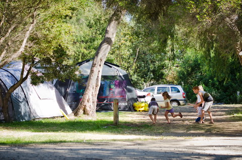 Rosebud Foreshore Camping - Accommodation Mount Tamborine 2