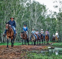 Susan River Homestead - Accommodation Mount Tamborine