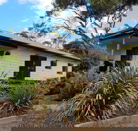 Adonis Dream - Accommodation Mount Tamborine