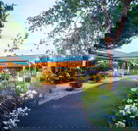 Bonville Lodge Pet Friendly B and B - Accommodation Mount Tamborine