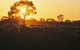 Clandulla Cottages & Farmstay - thumb 0