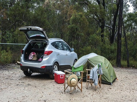 Gambells Rest Campground - Accommodation Mount Tamborine 1
