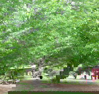 Hill End Holiday Ranch - Accommodation Mount Tamborine