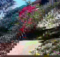 Linley House Bed and Breakfast - Accommodation Mount Tamborine