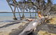 Margaret Cove Camp At Stokes National Park - thumb 2