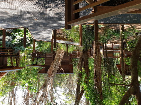 Melaleuca Surfside Backpackers - Accommodation Mount Tamborine 0