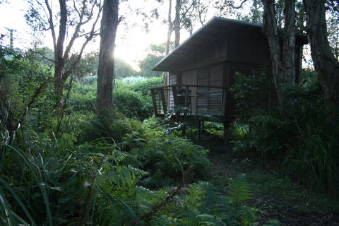 Melaleuca Surfside Backpackers - Accommodation Mount Tamborine 1
