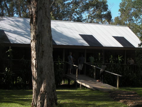 Melaleuca Surfside Backpackers - Accommodation Mount Tamborine 2