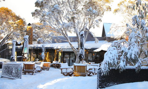 Ramada Resort By Wyndham Dinner Plain Mt Hotham - Accommodation Mount Tamborine 0
