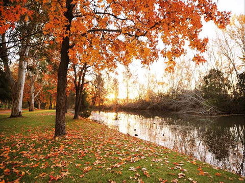 Reflections Holiday Park Cudgegong River - Temporarily Closed - Accommodation Mount Tamborine 1
