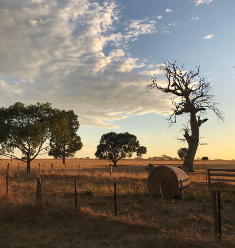 Rocklea Farm - Accommodation Mount Tamborine 0