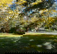 Scenic Rim Adventure Park - Accommodation Mount Tamborine