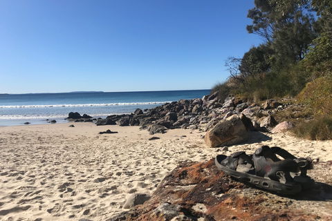 Tallwood Beach House - Accommodation Mount Tamborine 0