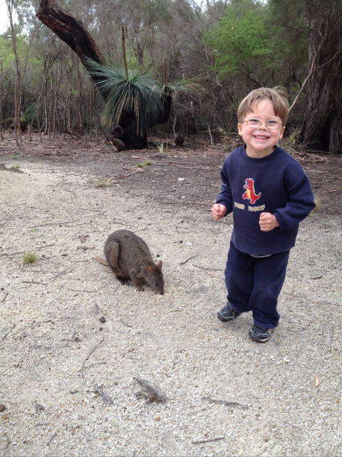 The Patriarch Wildlife Sanctuary Camping Ground - Accommodation Mount Tamborine 2