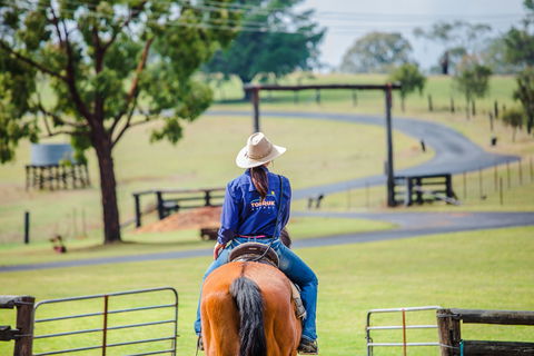 Tobruk Sydney Farm Stay - Accommodation Mount Tamborine 0