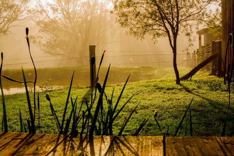 Tobruk Sydney Farm Stay - Accommodation Mount Tamborine 1