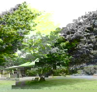 Wavestation - Accommodation Mount Tamborine