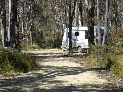 Blatherarm Campground And Picnic Area - Accommodation Mount Tamborine 1