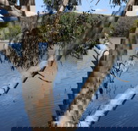 Bumberry Dam - Accommodation Mount Tamborine