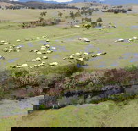 Camp on Allyn - Accommodation Mount Tamborine