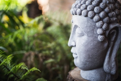 Happy Buddha Retreats - Accommodation Mount Tamborine 0