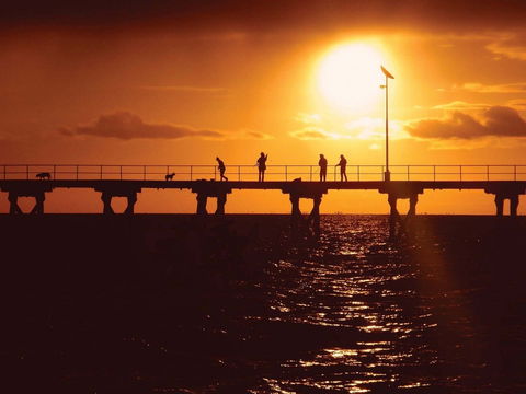 Haslam Campground - Accommodation Mount Tamborine 1