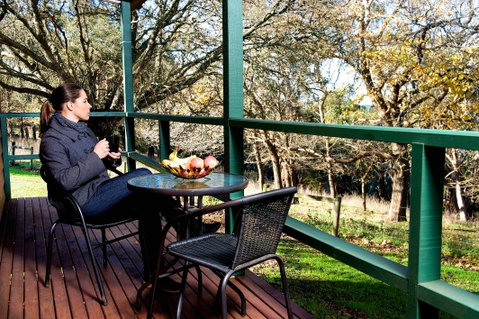 Lakes And Craters Holiday Park - Accommodation Mount Tamborine 1